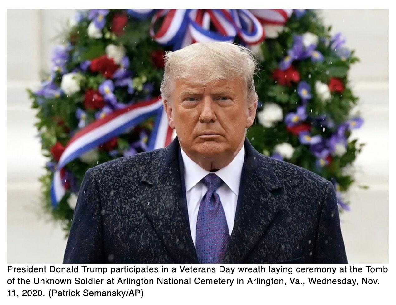  Trump marks Veterans Day at Arlington National Cemetery