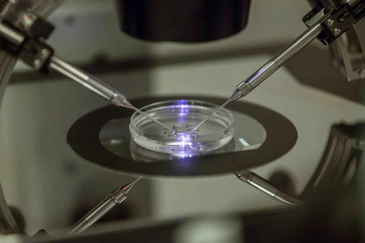 An in vitro fertilization embryologist works on a petri dish at the Create Health fertility clinic in south London on Aug. 14, 2013. (Sang Tan/AP) Lawmakers eye cutting restrictions, expanding infertility help for veterans