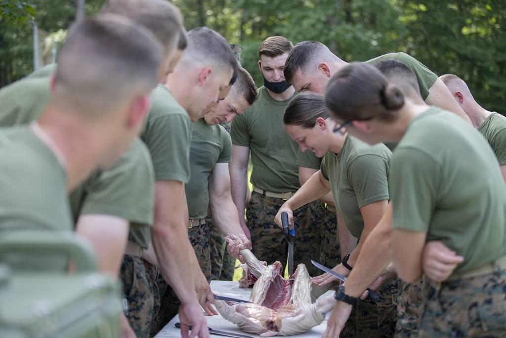 Marine Corps officers assigned to The Basic School participate in a foraging class at Marine Corps Base Quantico, Virginia, Aug. 8, 2021.(Lance Cpl. Andrew Herwig/Marine Corps) Butchering pigs, foraging water and fuel â€• the future of Marine logistics