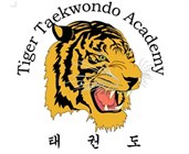 Logo: Tiger Taekwondo Academy